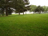 DSC08031.JPG
